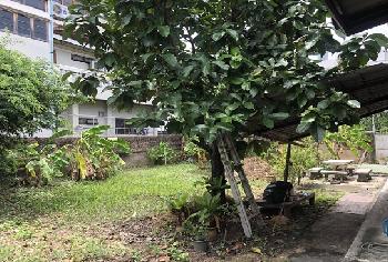 ที่ดิน 60 ตร.ว. ใกล้ โรงพยาบาลโรคทรวงอก ซอยติวานนท์38 (ราคาต่อรองได้)