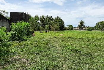 ขายที่ดิน เมืองสงขลา สงขลา