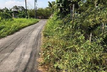 ขายที่ดิน บางเขน กรุงเทพมหานคร